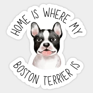 Home is Where My Boston Terrier Is Dog Breed Lover Watercolor Sticker